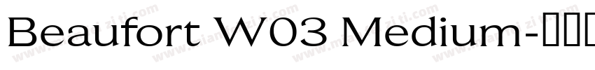 Beaufort W03 Medium字体转换